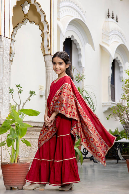 Girls Ethnic Pre-Drapped Sharara Saree